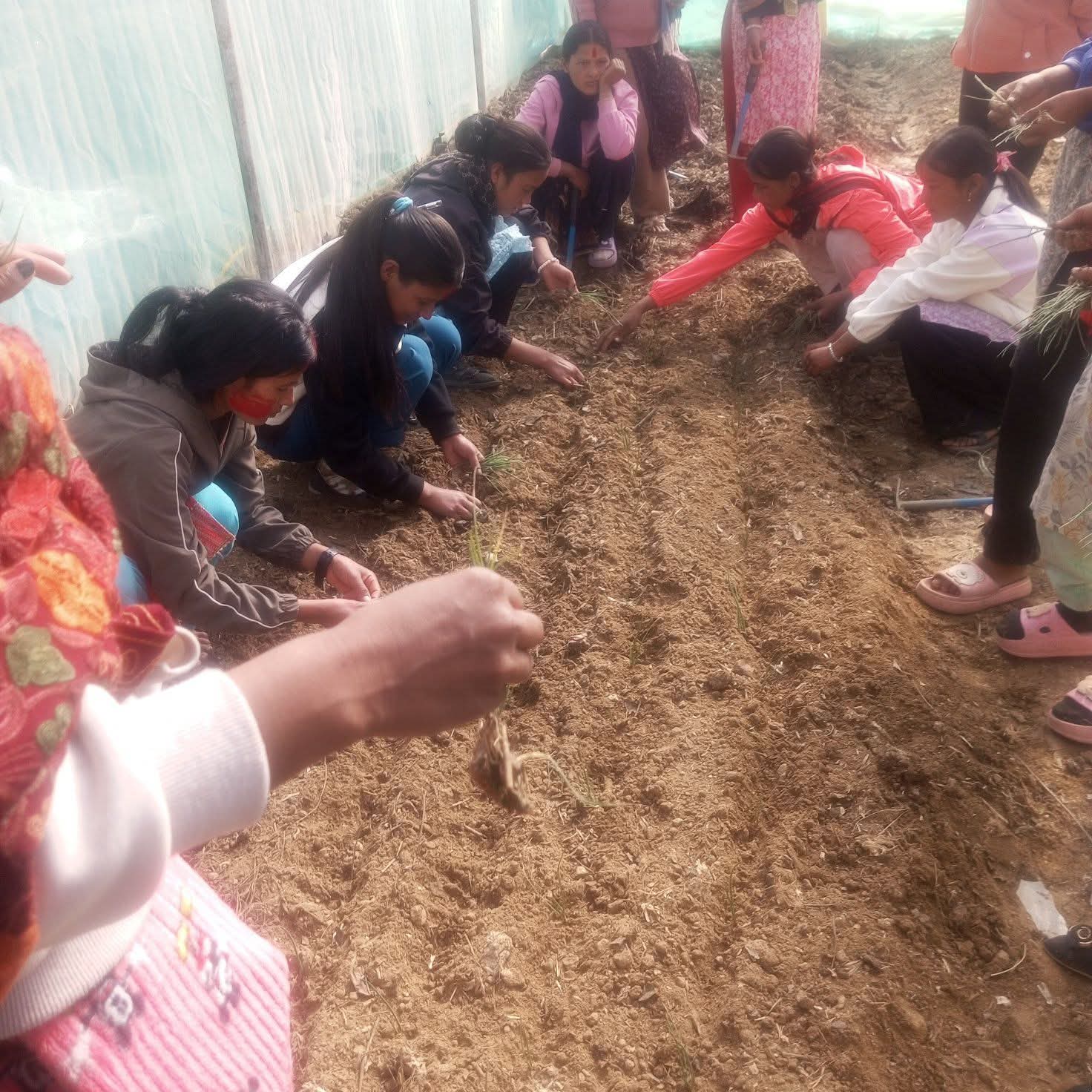 कृषि क्षेत्रमा व्यवहारिक अभ्यास
